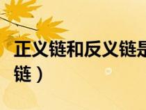 正義鏈和反義鏈?zhǔn)欠聪蚧パa(bǔ)嗎（正義鏈和反義鏈）