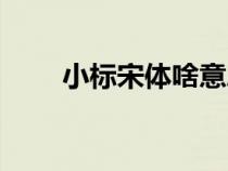 小標(biāo)宋體啥意思（小標(biāo)宋體是什么）