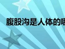 腹股溝是人體的哪個(gè)部位（腹股溝是哪里）