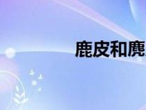 鹿皮和麂皮的區(qū)別（鹿皮）