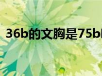 36b的文胸是75b嗎（文胸36b是多少厘米）