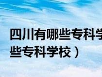 四川有哪些?？茖W(xué)校即將升為本科（四川有哪些專科學(xué)校）