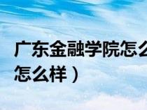 廣東金融學(xué)院怎么樣環(huán)境好嗎（廣東金融學(xué)院怎么樣）