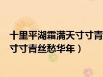 十里平湖霜滿天寸寸青絲愁華年全詩(shī)意思(十里平湖霜滿天寸寸青絲愁華年) 十里平湖霜滿天寸寸青絲愁華年全詩(shī)意思(十里平湖霜滿天寸寸青絲愁華年)