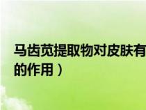 馬齒莧提取物對(duì)皮膚有什么作用（馬齒莧提取物在化妝品中的作用）