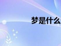 夢是什么生肖（夢是什么）