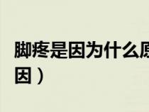 腳疼是因為什么原因引起的（腳疼痛是什么原因）