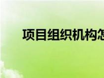 項(xiàng)目組織機(jī)構(gòu)怎么寫(xiě)(項(xiàng)目組織機(jī)構(gòu)) 項(xiàng)目組織機(jī)構(gòu)怎么寫(xiě)(項(xiàng)目組織機(jī)構(gòu))