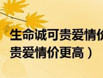 生命誠可貴愛情價(jià)更高是什么意思（生命誠可貴愛情價(jià)更高）