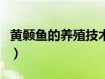 黃顙魚(yú)的養(yǎng)殖技術(shù)大全(黃顙魚(yú)實(shí)用養(yǎng)殖技術(shù)) 黃顙魚(yú)的養(yǎng)殖技術(shù)大全(黃顙魚(yú)實(shí)用養(yǎng)殖技術(shù))