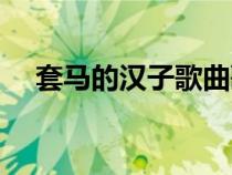 套馬的漢子歌曲歌詞（套馬的漢子歌詞）