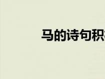 馬的詩句積極向上（馬的詩句）
