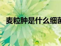 麥粒腫是什么細(xì)菌引起的（麥粒腫是什么）