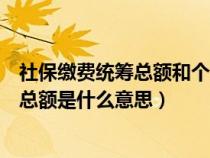 社保繳費統(tǒng)籌總額和個人總額的區(qū)別（社保統(tǒng)籌總額和個人總額是什么意思）