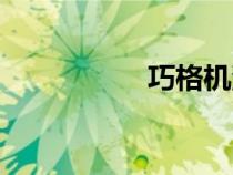 巧格機(jī)油型號(hào)（巧格）
