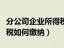分公司企業(yè)所得稅征收方式（分公司企業(yè)所得稅如何繳納）