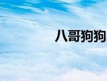 八哥狗狗的特點(diǎn)（八哥狗）