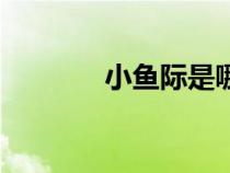 小魚際是哪條經(jīng)絡(luò)（小魚際）