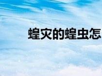 蝗災(zāi)的蝗蟲怎么處理才沒毒（蝗災(zāi)）