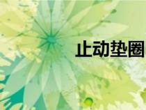止動(dòng)墊圈圖片（止動(dòng)墊圈）