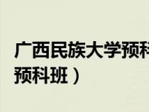廣西民族大學(xué)預(yù)科班要多少分(廣西民族大學(xué)預(yù)科班) 廣西民族大學(xué)預(yù)科班要多少分(廣西民族大學(xué)預(yù)科班)