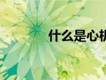 什么是心機(jī)酶（什么是心機(jī)）