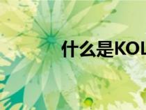 什么是KOL客戶（什么是kol）