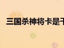 三國殺神將卡是干什么的（三國殺神將卡）