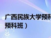 廣西民族大學(xué)預(yù)科班怎么報名（廣西民族大學(xué)預(yù)科班）