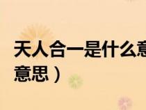天人合一是什么意思南懷瑾（天人合一是什么意思）