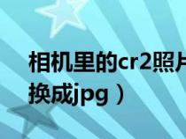 相機里的cr2照片怎么導出（相機cr2怎么轉換成jpg）