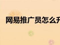 網(wǎng)易推廣員怎么升級(網(wǎng)易推廣員系統(tǒng)沒) 網(wǎng)易推廣員怎么升級(網(wǎng)易推廣員系統(tǒng)沒)