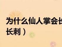 為什么仙人掌會(huì)長(zhǎng)刺二年級(jí)(為什么仙人掌會(huì)長(zhǎng)刺) 為什么仙人掌會(huì)長(zhǎng)刺二年級(jí)(為什么仙人掌會(huì)長(zhǎng)刺)