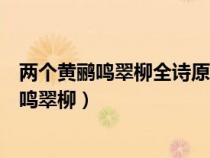 兩個黃鸝鳴翠柳全詩原文表達了作者的什么情感（兩個黃鸝鳴翠柳）