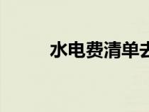 水電費(fèi)清單去哪里打?。ㄋ娰M(fèi)）