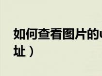 如何查看圖片的url（如何獲得圖片的URL地址）