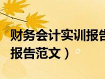 財(cái)務(wù)會計(jì)實(shí)訓(xùn)報(bào)告范文怎么寫(財(cái)務(wù)會計(jì)實(shí)訓(xùn)報(bào)告范文) 財(cái)務(wù)會計(jì)實(shí)訓(xùn)報(bào)告范文怎么寫(財(cái)務(wù)會計(jì)實(shí)訓(xùn)報(bào)告范文)