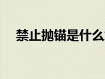 禁止拋錨是什么意思(拋錨是什么意思) 禁止拋錨是什么意思(拋錨是什么意思)