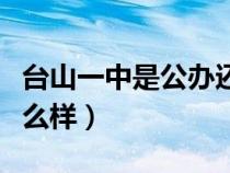 臺山一中是公辦還是民辦（臺山市第一中學(xué)怎么樣）