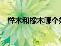 櫸木和橡木哪個(gè)好?（櫸木和橡木哪個(gè)好）