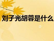 劉子光胡蓉是什么電視劇橙紅年代（劉子光）
