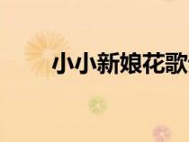 小小新娘花歌詞（小小新娘花原唱）
