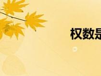 權數是什么（權數）