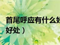 首尾呼應(yīng)有什么好處和作用（首尾呼應(yīng)有什么好處）