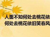 人面不知何處去桃花依舊笑春風(fēng)意思相近的詩(shī)句(人面不知何處去桃花依舊笑春風(fēng)的意思) 人面不知何處去桃花依舊笑春風(fēng)意思相近的詩(shī)句(人面不知何處去桃花依舊笑春風(fēng)的意思)