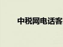 中稅網(wǎng)電話客服人工服務(wù)（中稅網(wǎng)）