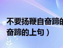 不要揚(yáng)鞭自奮蹄的意思的前一句（不用揚(yáng)鞭自奮蹄的上句）