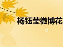 楊鈺瑩微博花草圖片(楊鈺瑩微博) 楊鈺瑩微博花草圖片(楊鈺瑩微博)