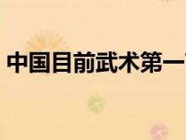 中國目前武術第一高手（中國武術第一高手）