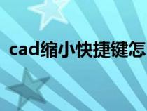 cad縮小快捷鍵怎么使用（cad縮小快捷鍵）